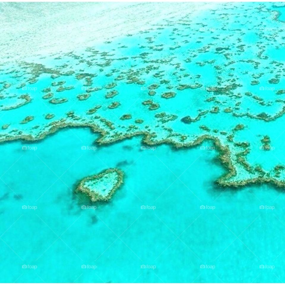 Great Barrier Reef 