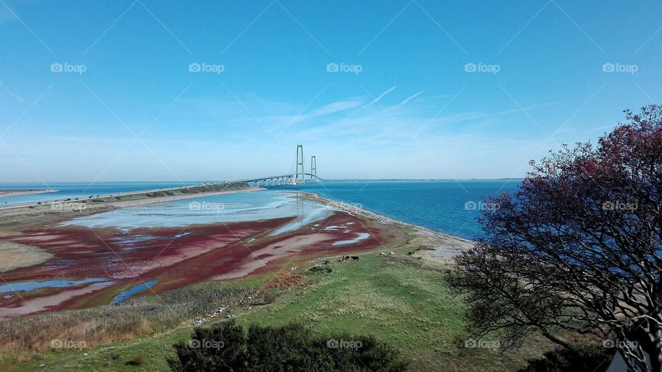 bridges connect people