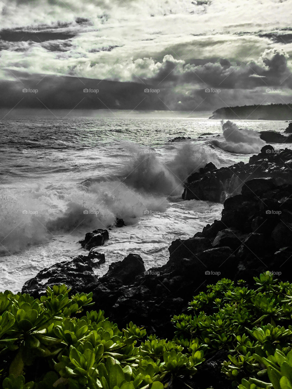 Sea cucumbers and a storm rolling in