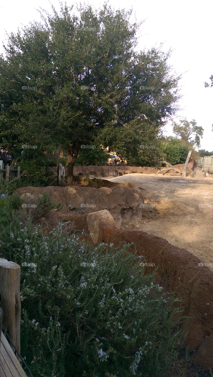 No Person, Outdoors, Landscape, Tree, Nature