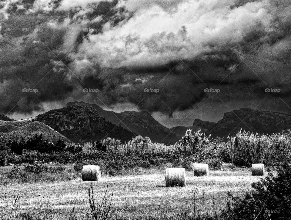 Black and white Majorcan landscape, looking across a sunlit mown field with rolled hay bales to dark storm clouds over the Tramuntana Mountains.