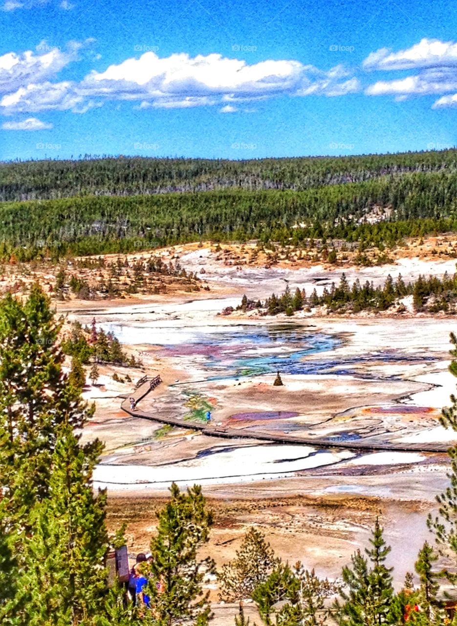 Yellowstone National Park 
June 2013