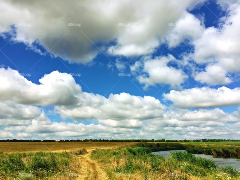 All the paints of summertime 
