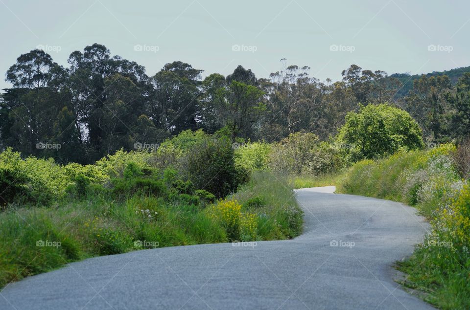 Rural Road In Northern California 