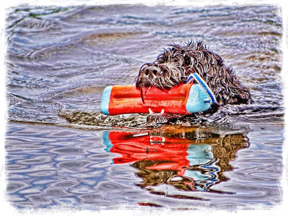 Water Trials Training