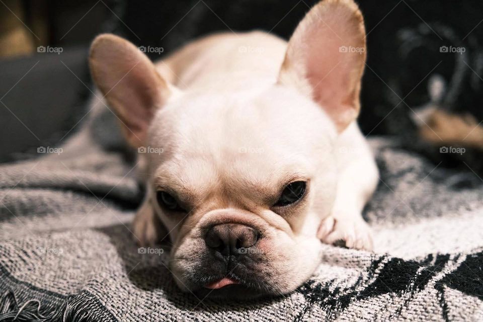 Life and art in visual impressions