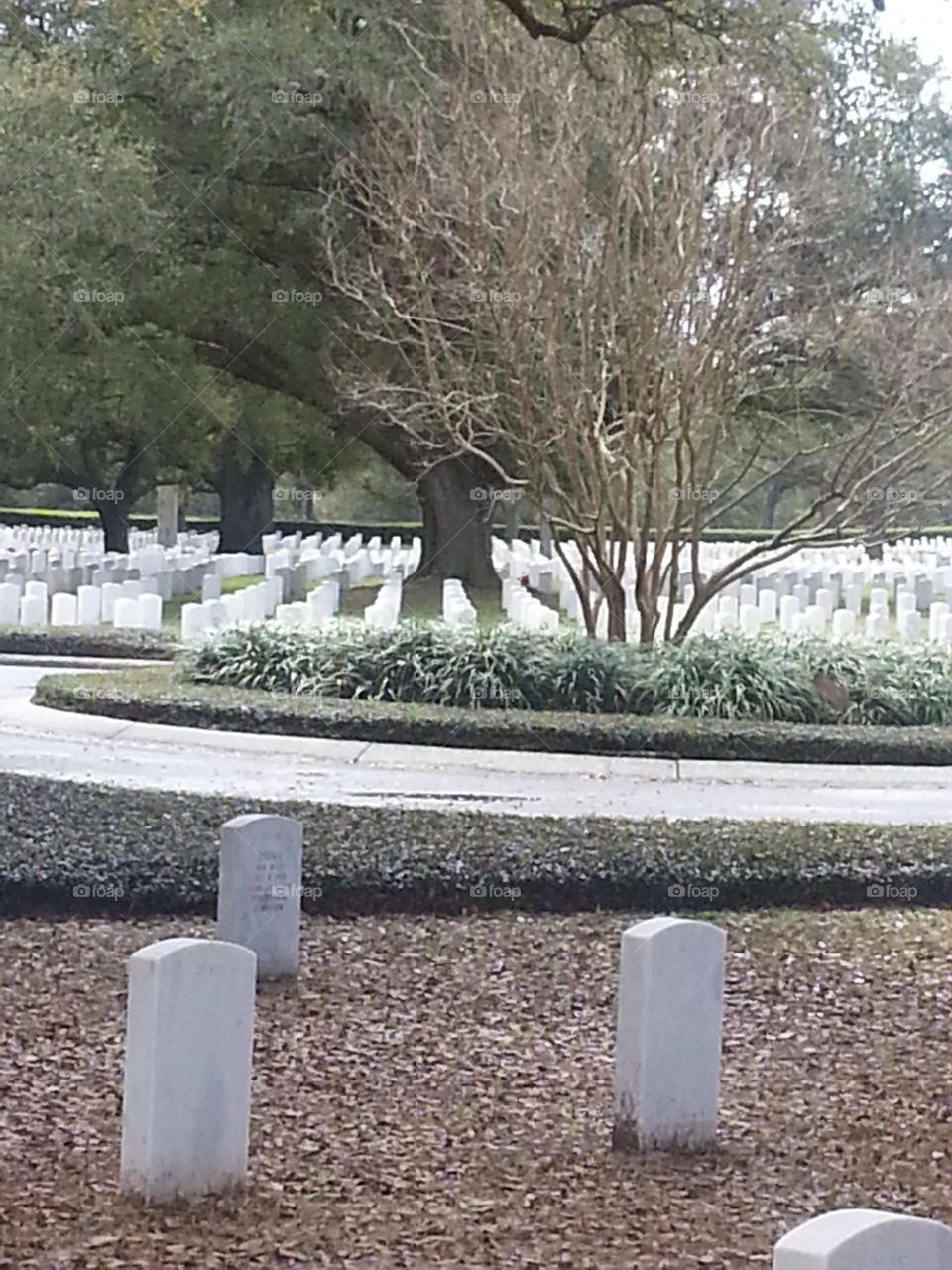 Barrancas National Cemetery. beautiful reminder of our fallen heroes