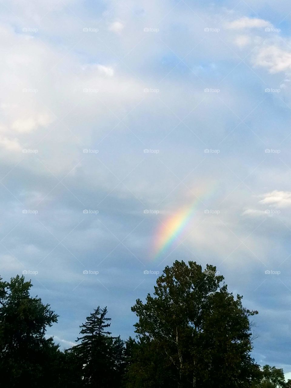 prism or rainbow in the sky