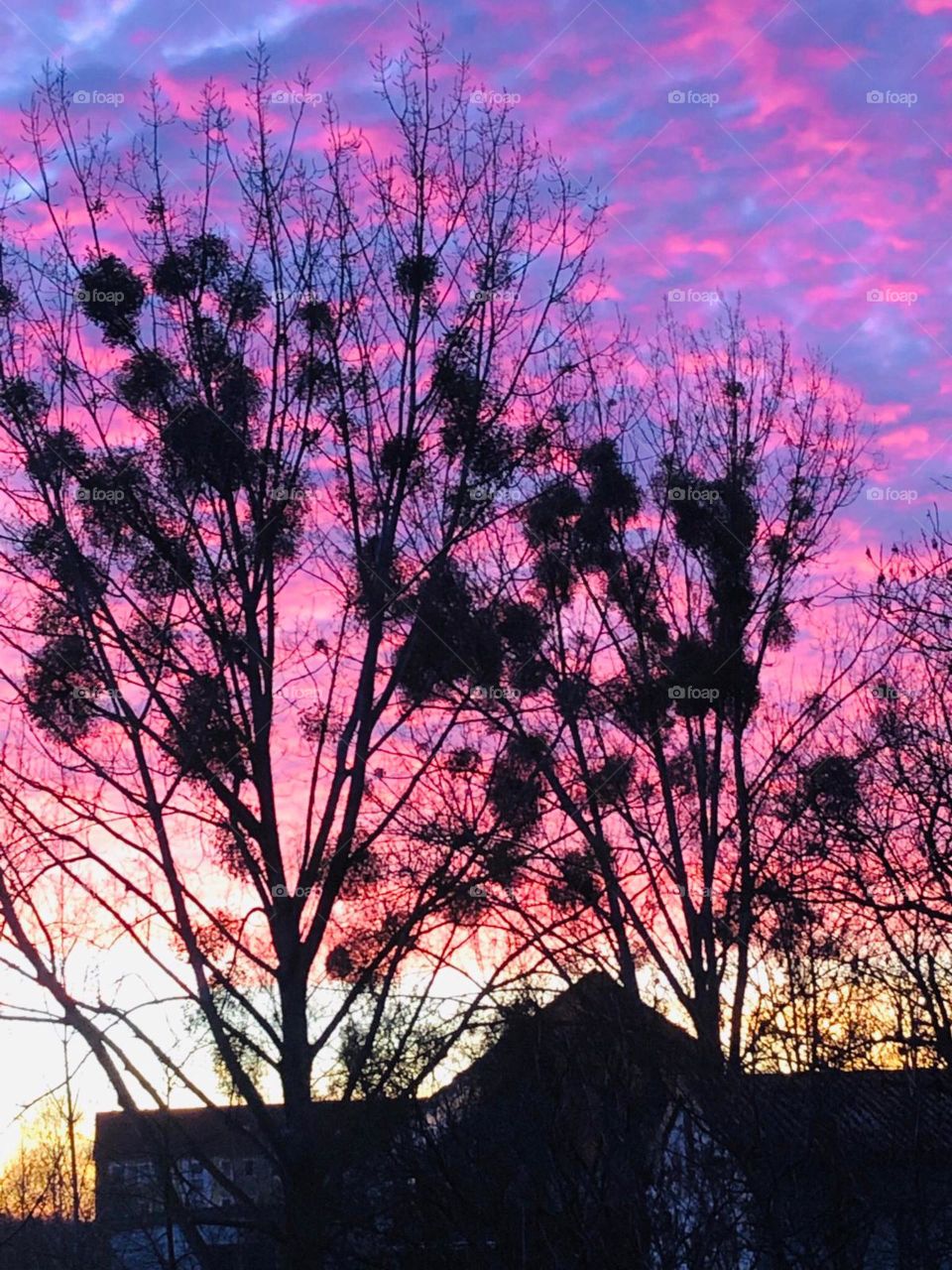 Himmel Abend Wolken Farbe Bäume