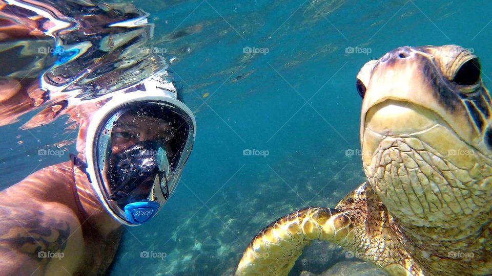 Swimming with turtle