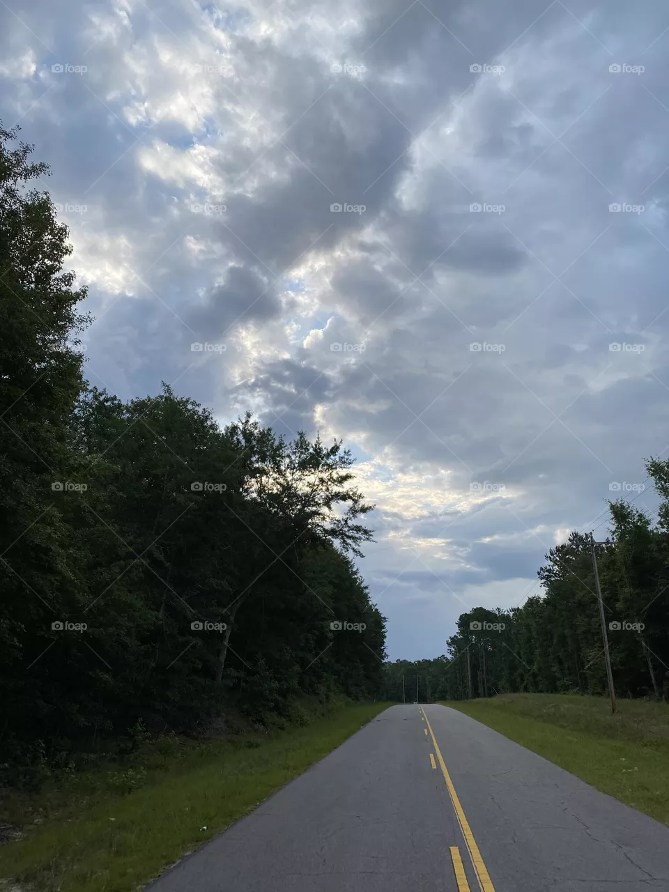 The joy of walking 