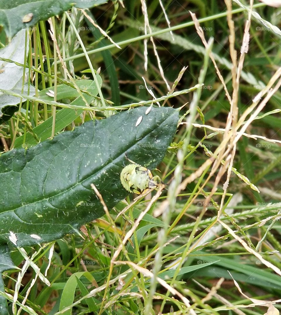 Bug friend during my phone call.