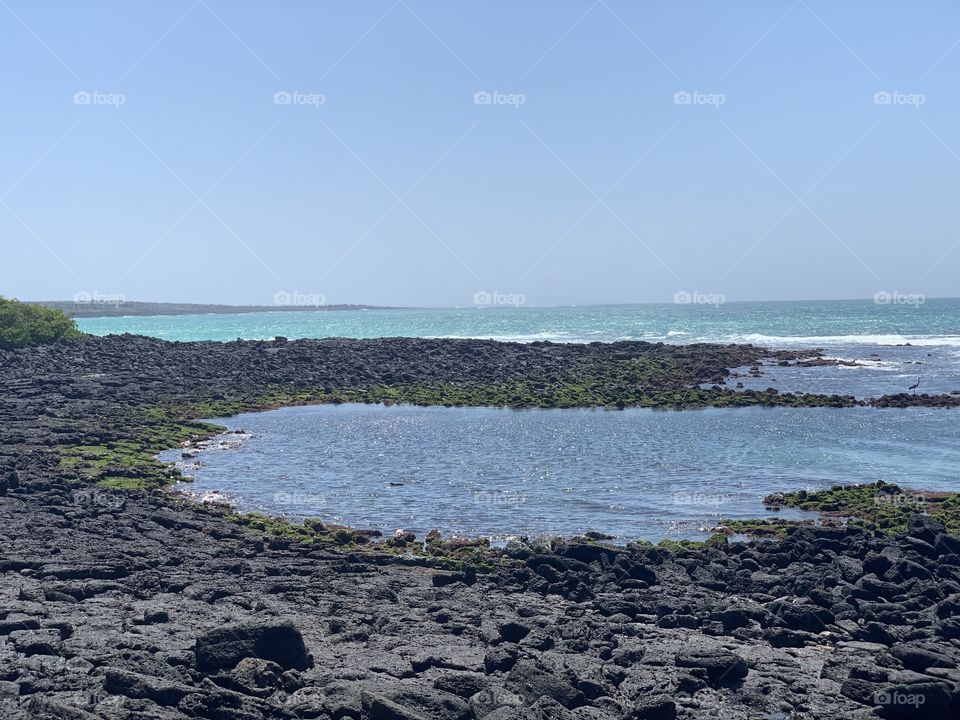 Galápagos 