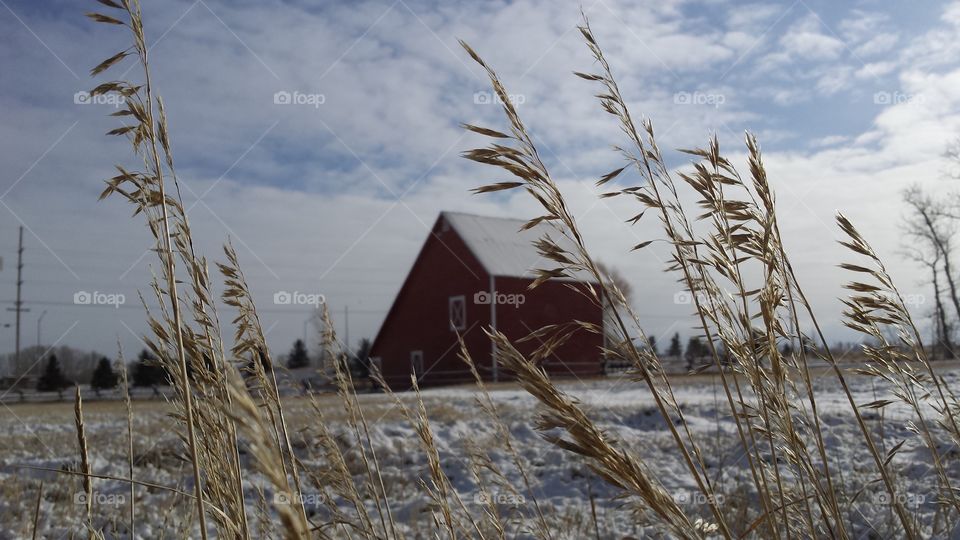 view of red barn in the snow through the straw