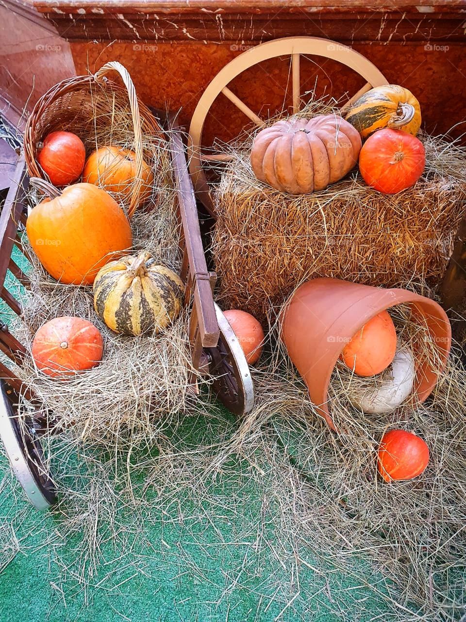 Autumn. Composition with pumpkins. Pumpkins in baskets. Pumpkins in a wooden cart. Pumpkins in the hay. Different varieties of pumpkins.