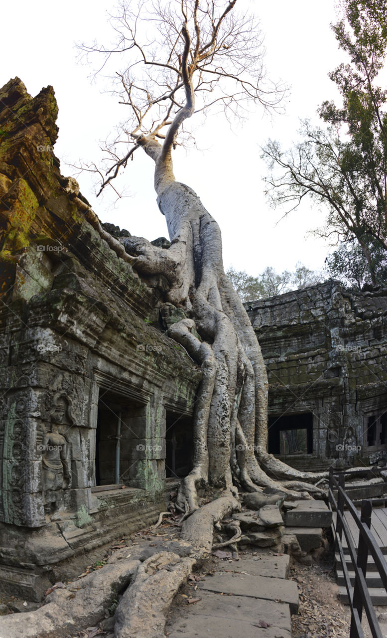 Angkor