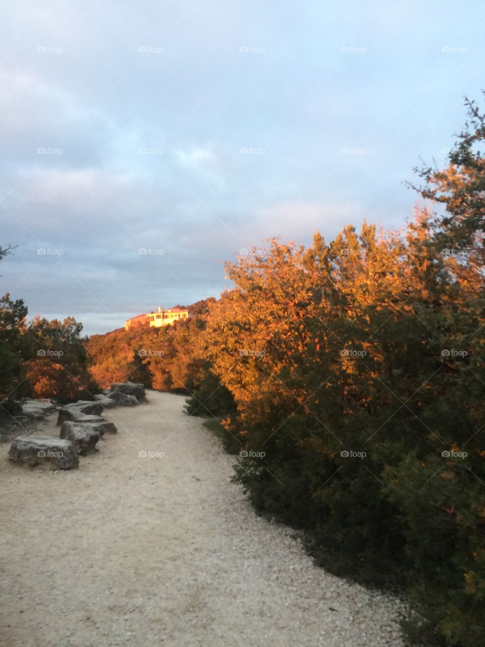 No Person, Landscape, Tree, Outdoors, Fall