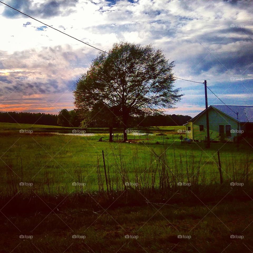 Dusk at the Farm 