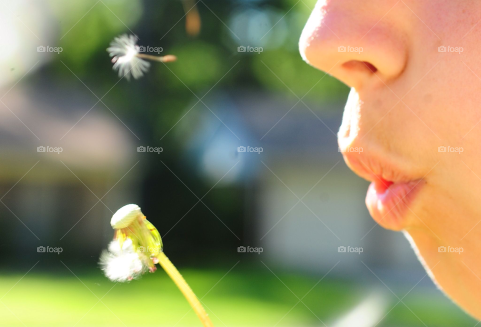 dandelion hope wish make a wish by lightanddrawing