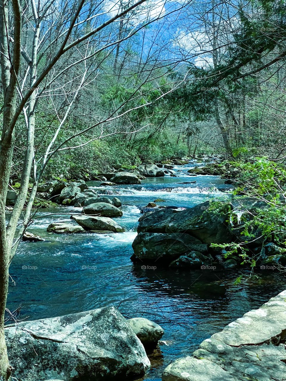 Smokey Mountain river bed 