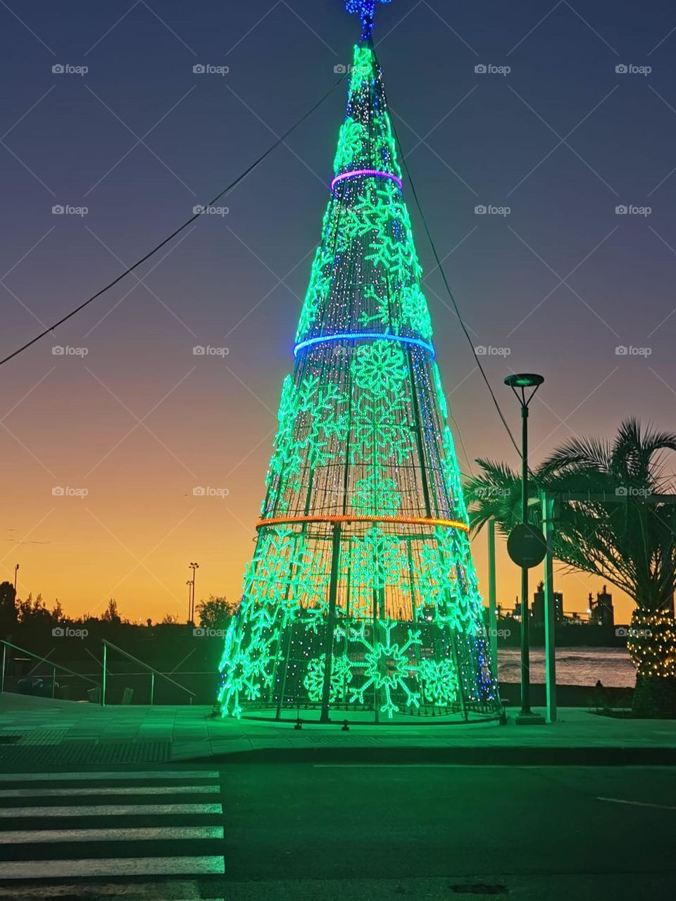 árbol de navidad de luces de colores