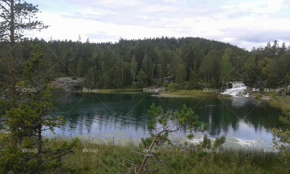 A PARADISE, A LAKE! !