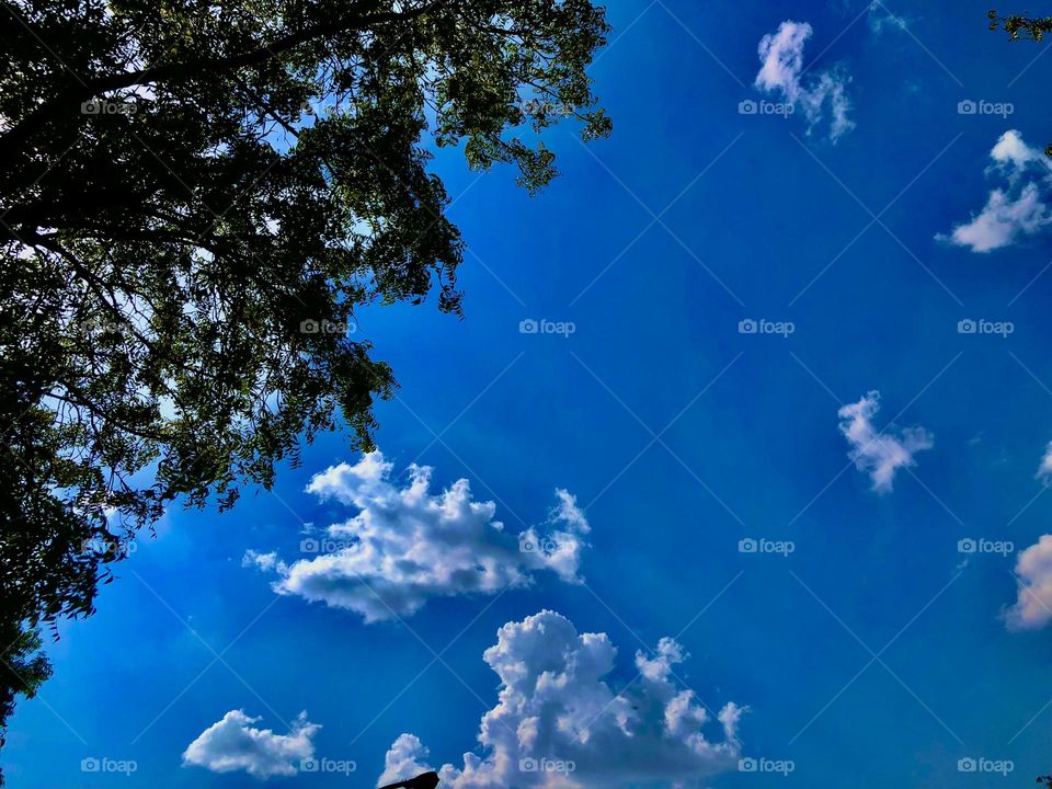 Upload the photo of the month