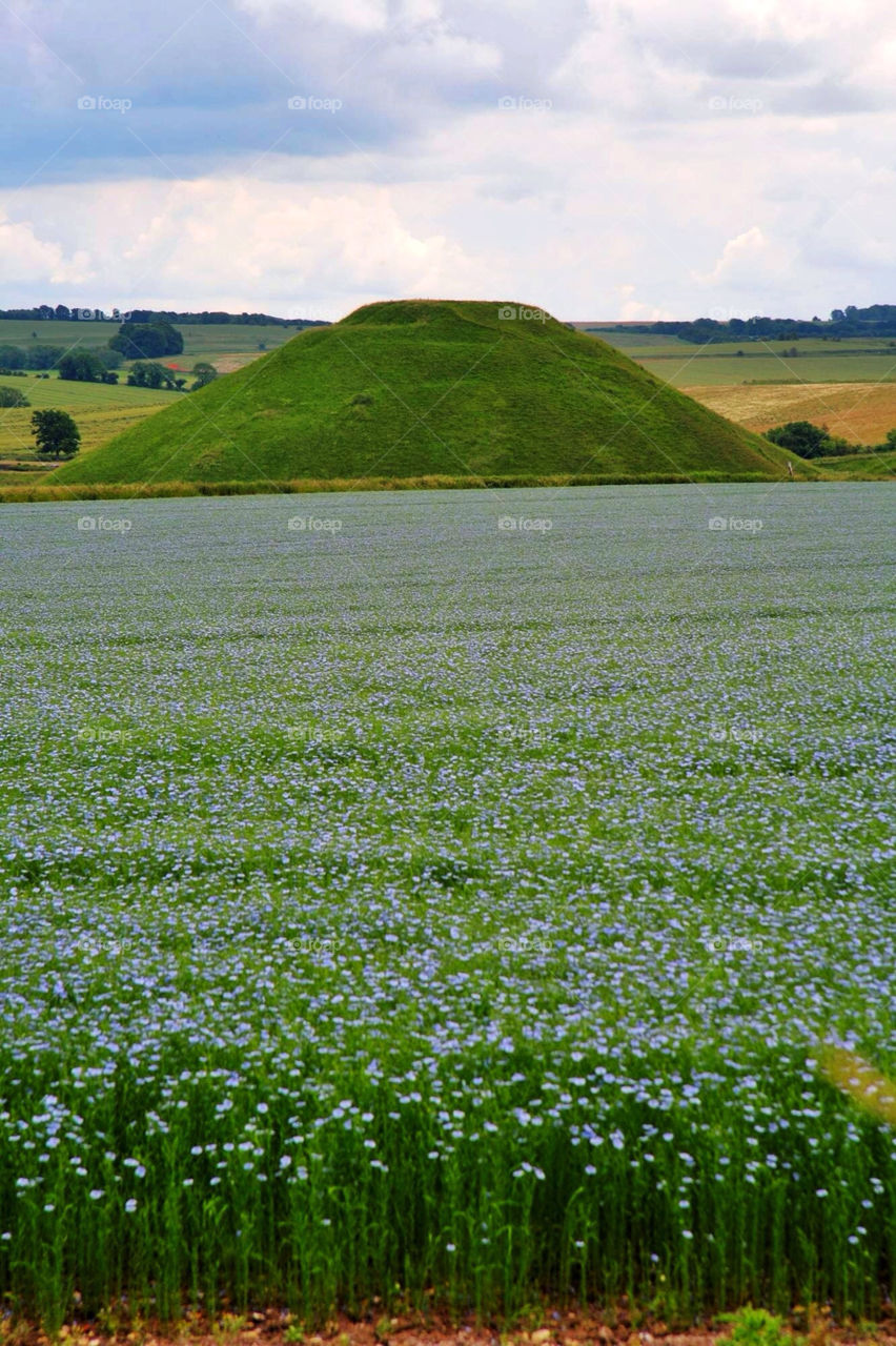 spring flowers artificial historic by pandahat