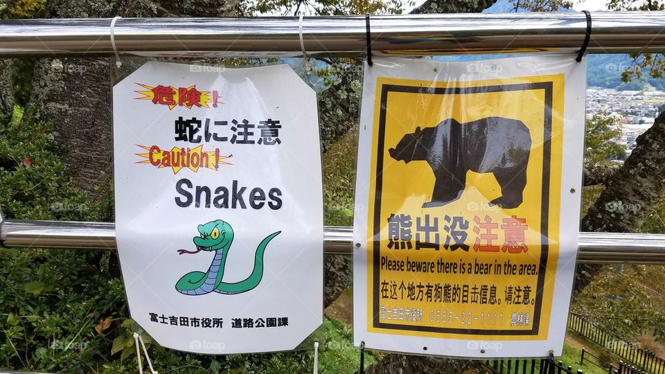 Snakes bears caution sign