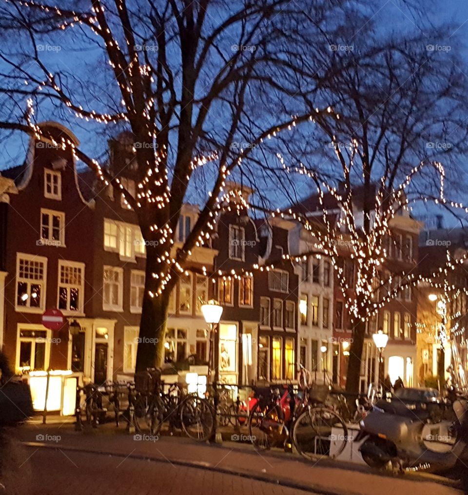 Old alley street with vintage architecture buildings in Amsterdam, Holland, Europe. Trees with christmas lights and street lamps glow in evening