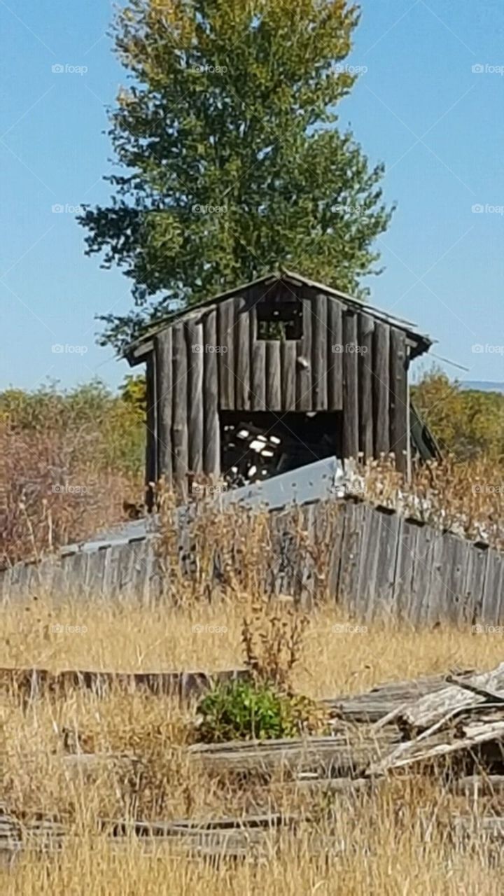 abandoned barn