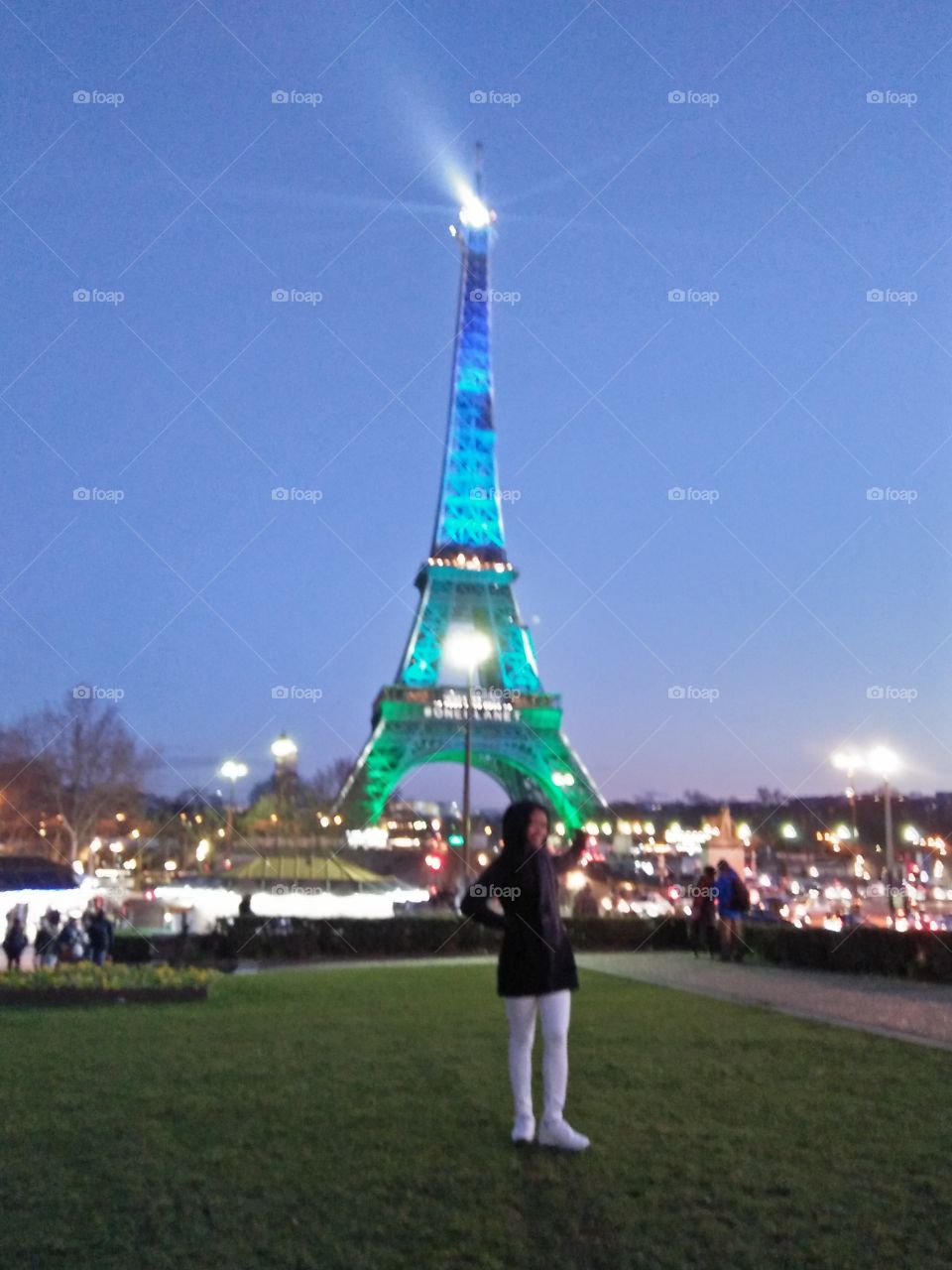 eiffel tower in Paris France