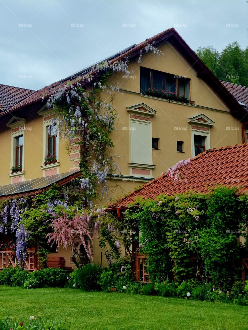 building with flowers in Moneasa