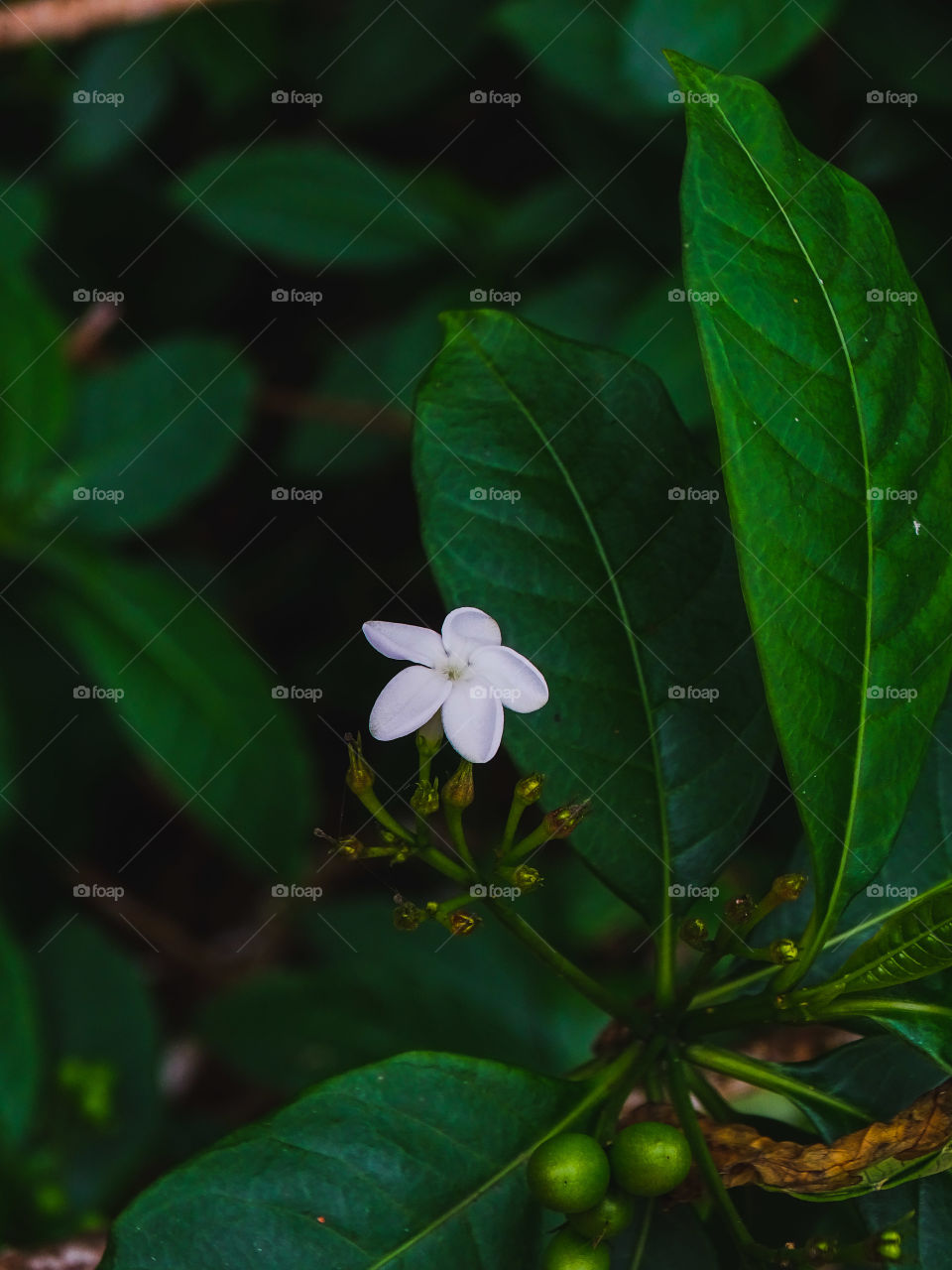 how much do you like this photo