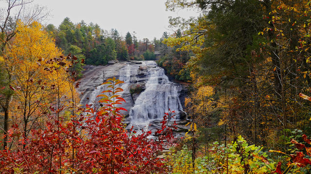 fall