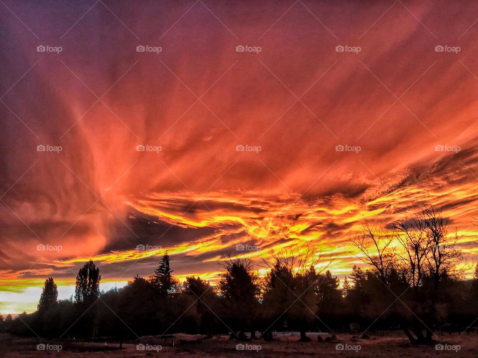 argentinian patagonia