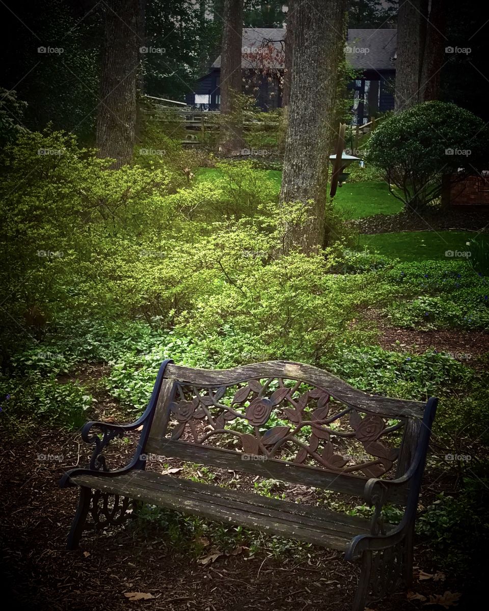 A quiet place with nature 