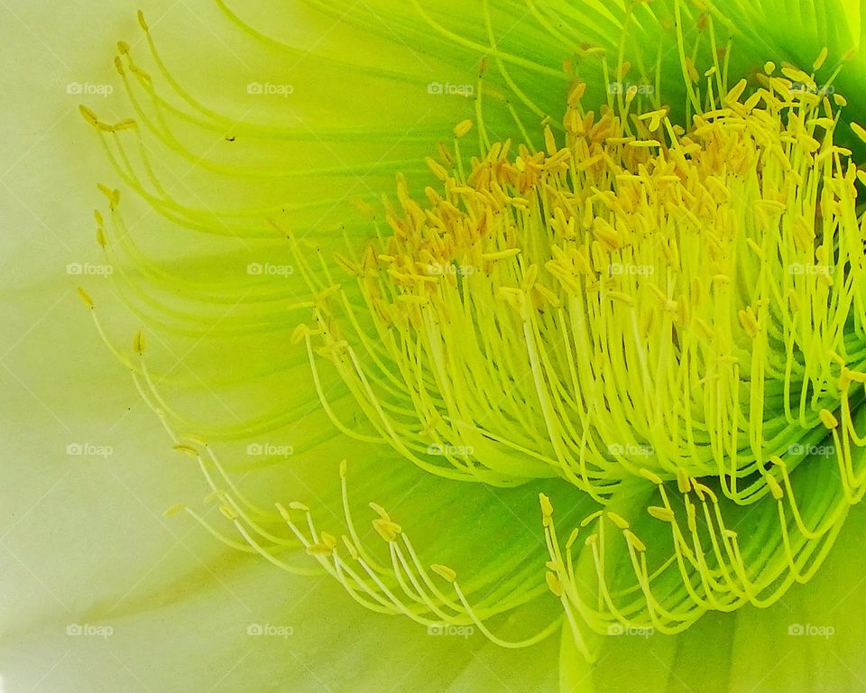 The best of photography