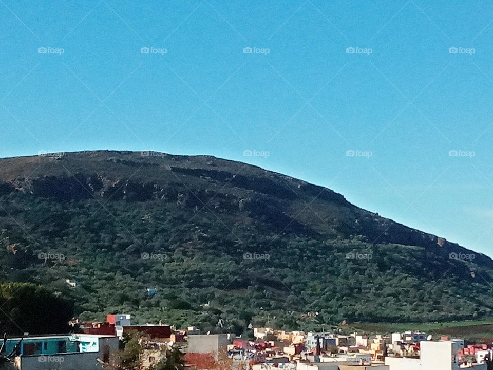 Population between the nature