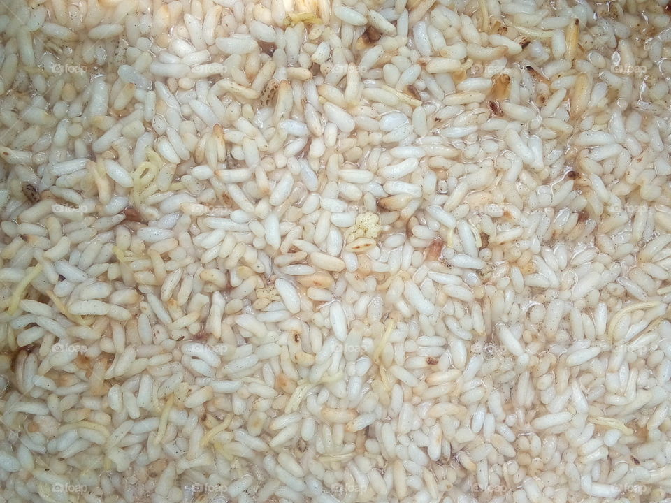 Rice