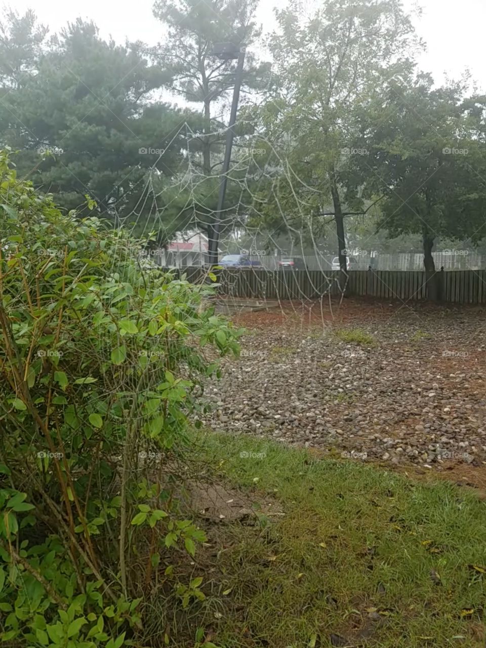 Almost walked into it!