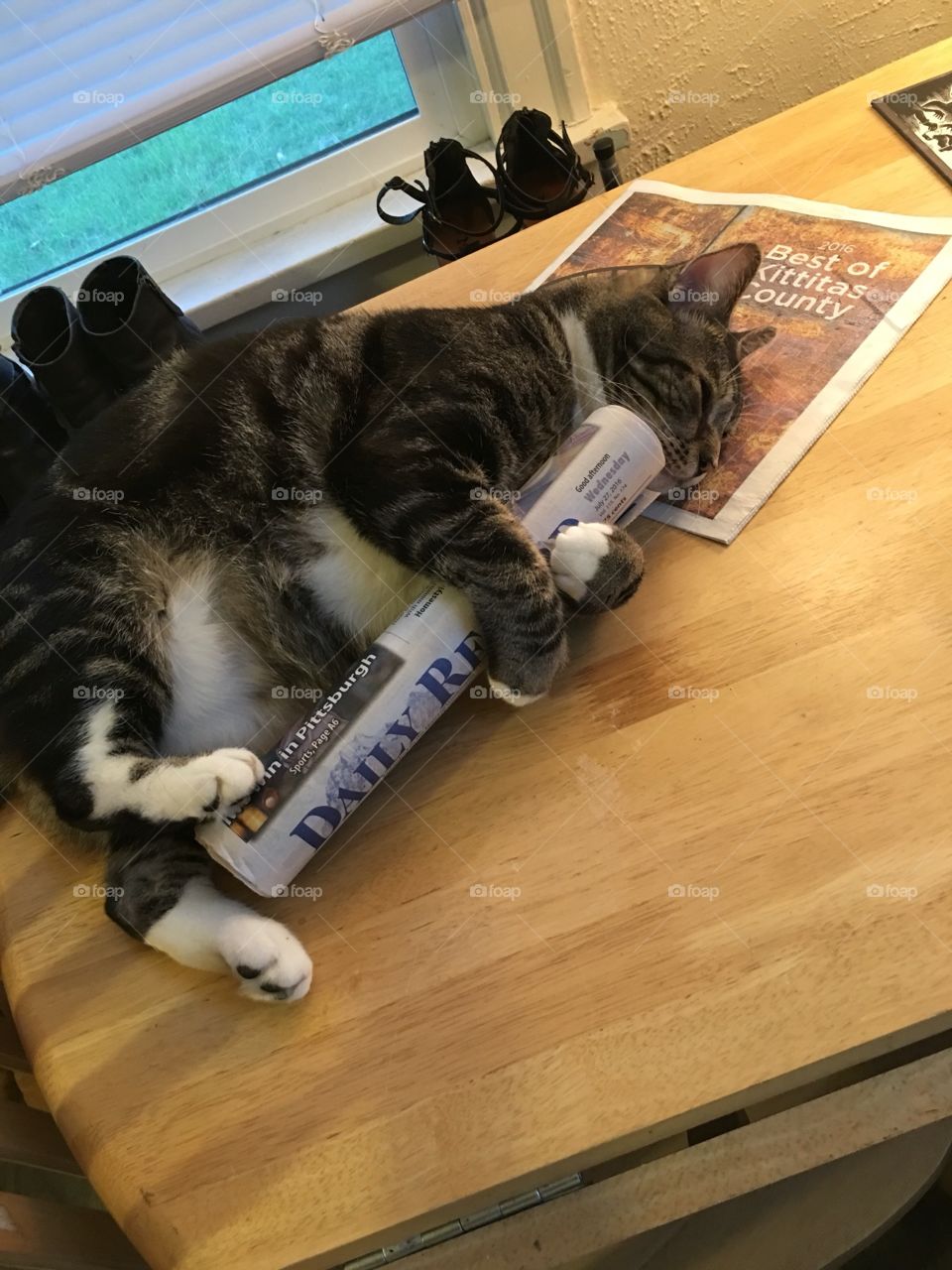 Cat playing with the newspaper.