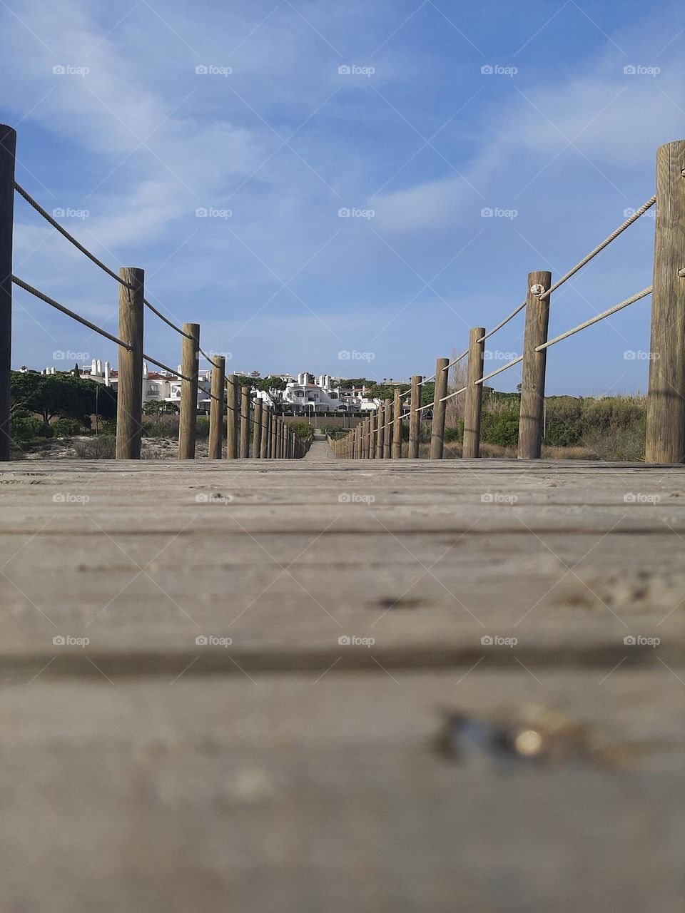 Walking up to the Magical Land of Oz