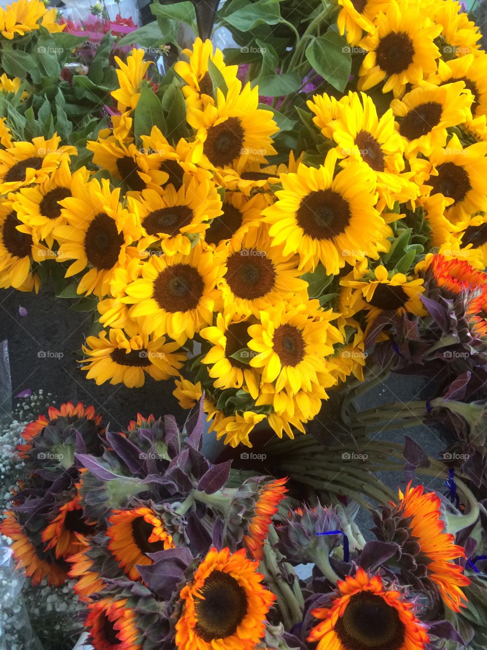 Sun flowers . Flowers at market