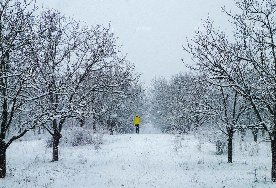 Winter minimalistic landscape, a person in yellow