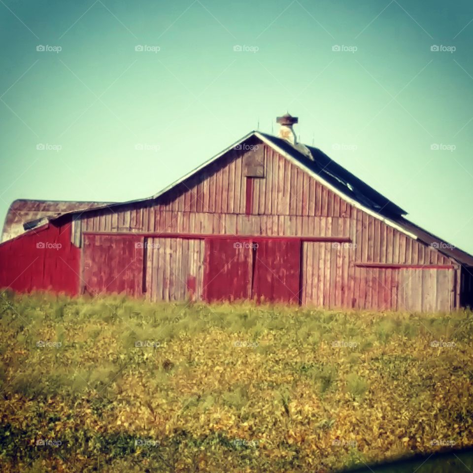 weathered barn