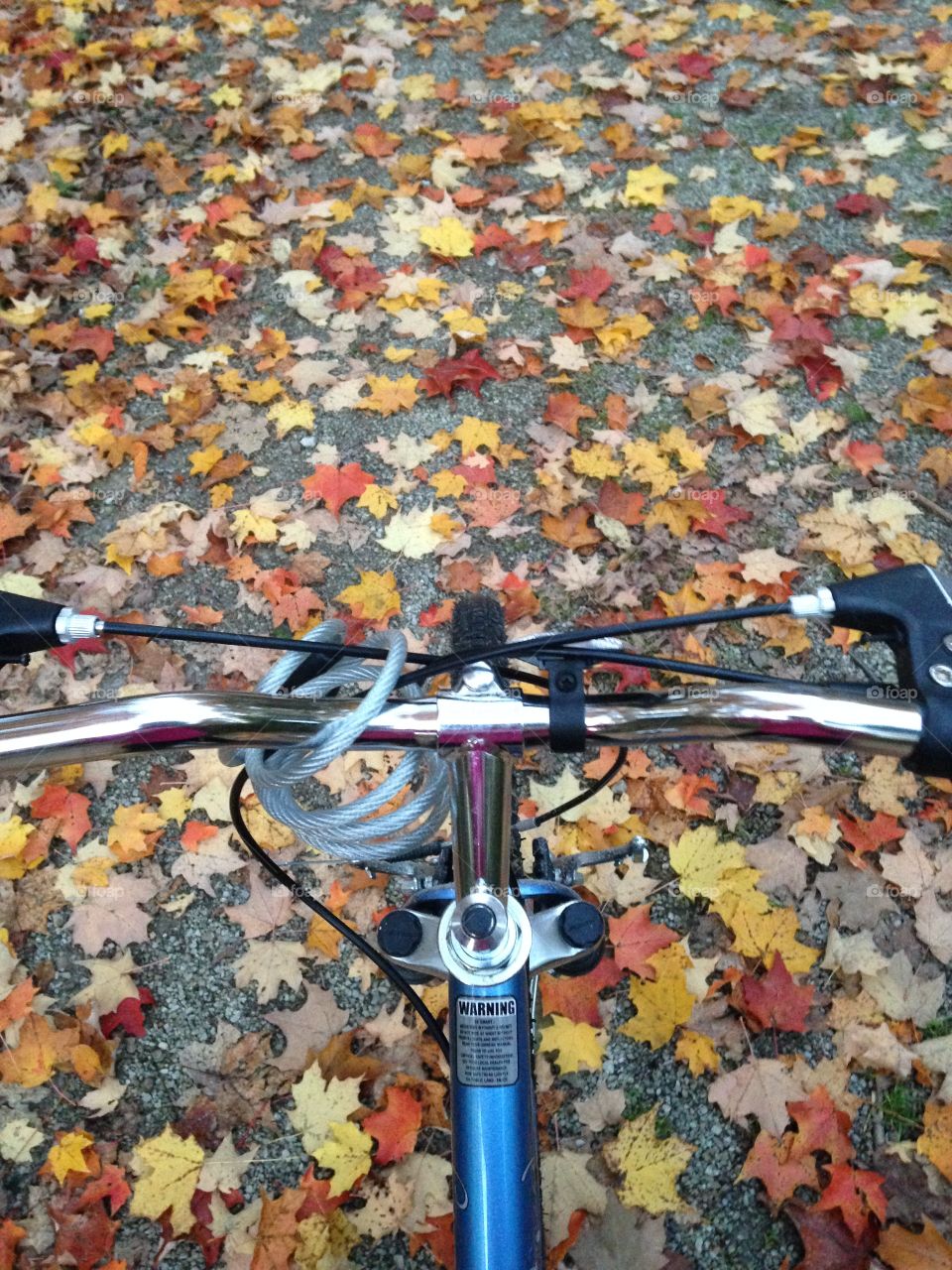 Autumn bike rides!