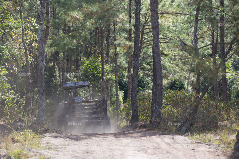 Tractor truck in the forest 