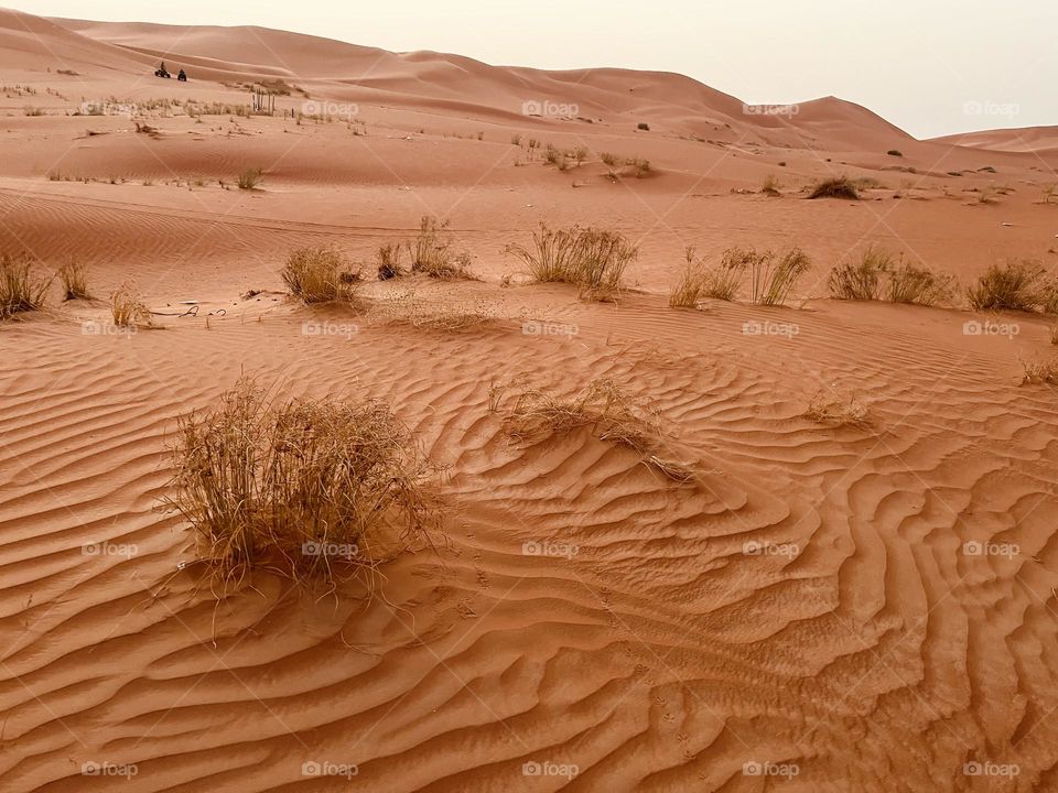 Beautiful picture of desert 