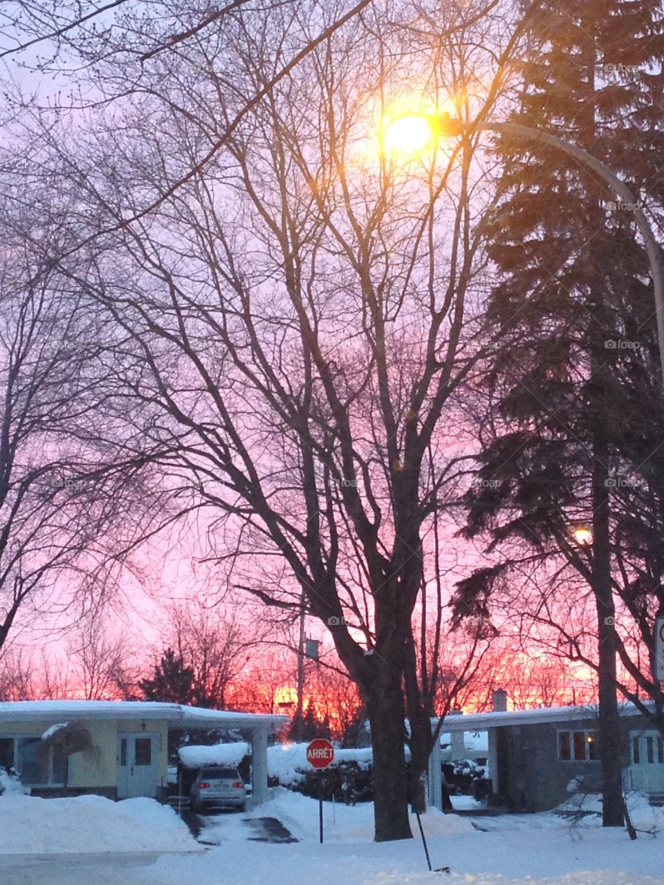 Natural lights in the sky